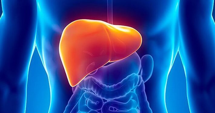 ফ্যাটি লিভার কী?