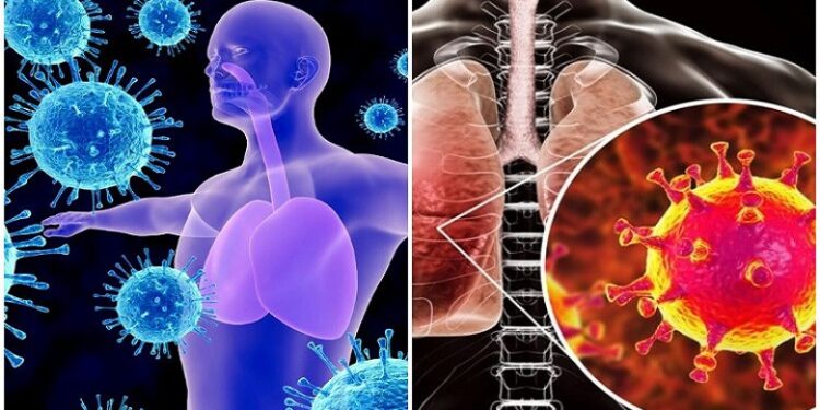 ফুসফুসে সংক্রমণ করতে পারছে না ওমিক্রন: গবেষণা