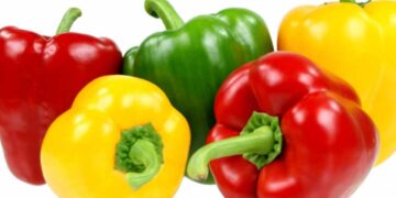 নানান রঙের ক্যাপসিকাম খাওয়ার উপকারিতা