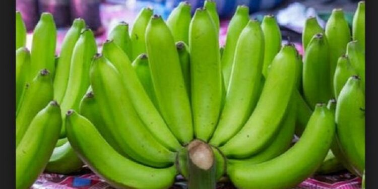 হজমের সমস্যা কমাতে উপকারি কাঁচকলা