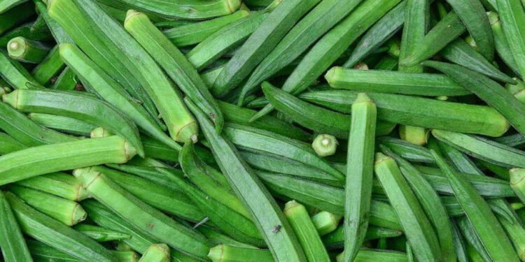 কোলেস্টেরল ,শ্বাসকষ্ট প্রতিরোধে ঢেঁড়স