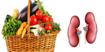 কিডনি রোগীর পুষ্টি তথ্য