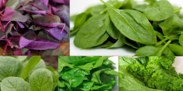 রাতে কি শাক খাওয়া যাবে ?