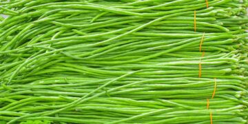 যে কারণে বরবটি খেতে ভুলবেন না