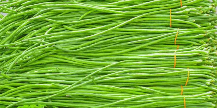 যে কারণে বরবটি খেতে ভুলবেন না