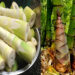 সুস্থ্য থাকতে হলে বাঁশ খান !