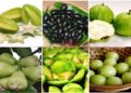 ডায়াবেটিস রোগিদের যেসব ফল খেতে নেই বাধা