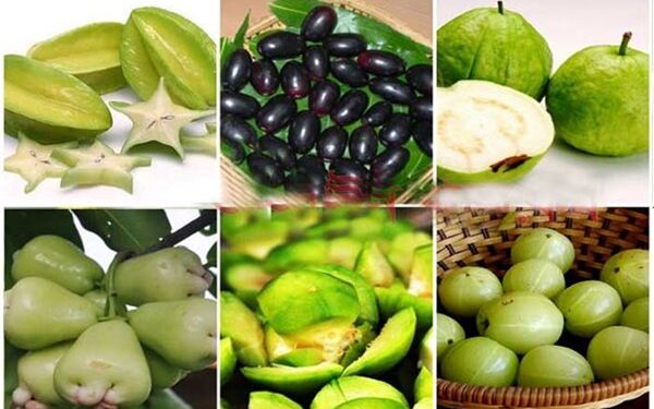 ডায়াবেটিস রোগিদের যেসব ফল খেতে নেই বাধা