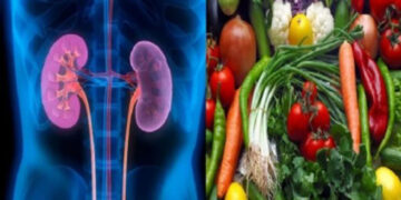 কিডনি সুস্থ রাখতে যেসব খাবার ভুলেও খাবেন না