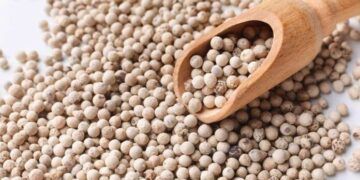 সাদা গোলমরিচের যত গুণাগুণ