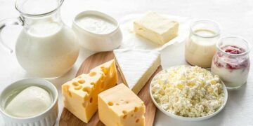 দুধজাতীয় খাবারের বিকল্প