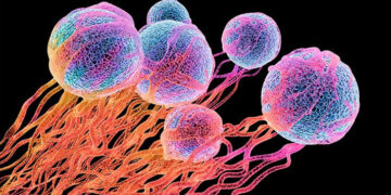 টিউমার ও ক্যান্সারের মধ্যে পার্থক্য কী? 