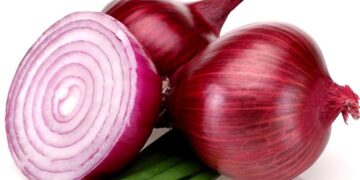 পেঁয়াজ খাওয়ার নানাবিধ উপকারিতা