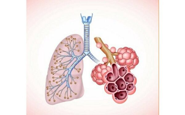 ফুসফুসে বাতাস জমার কারণ ও প্রতিকার কি?