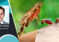 পুরোনো সংক্রামক : জনস্বাস্থ্যে নতুন হুমকি