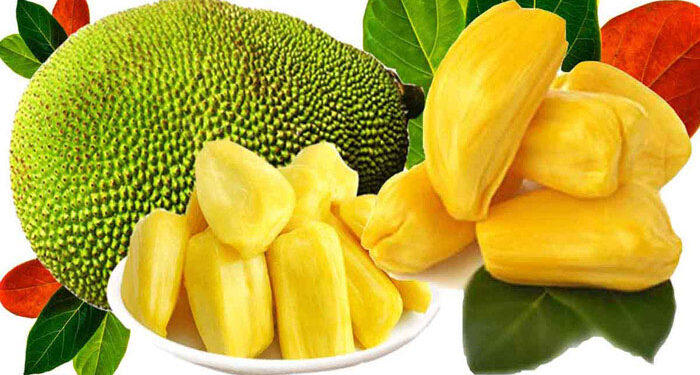 জেনে নিন কাঁঠাল এর ২০টি উপকারিতা