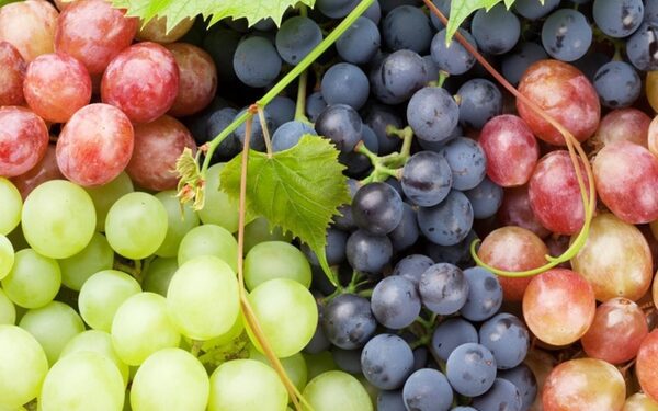 নানা গুণে ভরপুর আঙ্গুর