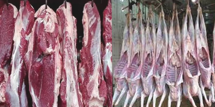 গরু-ছাগলের মাংসে যক্ষ্মার জীবাণু শনাক্ত