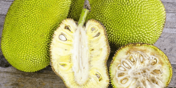 ক্যান্সার এবং টিউমার প্রতিরোধে কাঁচা কাঁঠাল