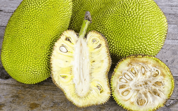 ক্যান্সার এবং টিউমার প্রতিরোধে কাঁচা কাঁঠাল