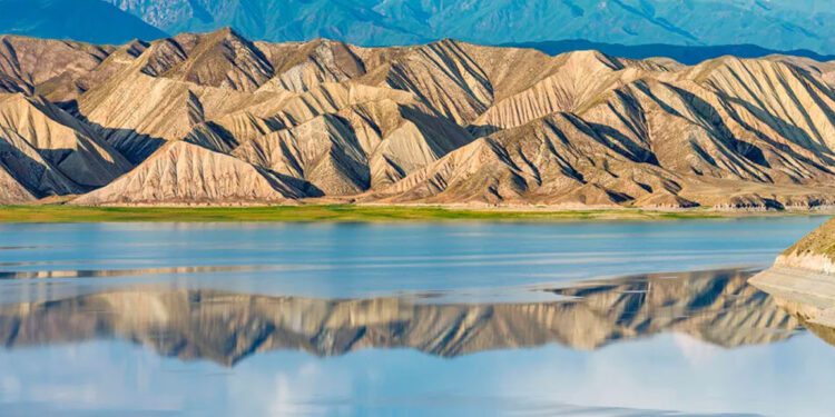 ব্ল্যাক ডেথের উৎপত্তি কোথায় নিয়ে যা বলছেন গবেষকরা