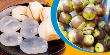 পাকস্থলীর রোগ,চুলকানি কমাতে তালের শাঁস