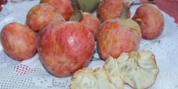 ডায়াবেটিস,কোলেস্টেরলের মাত্রা নিয়ন্ত্রণ ,হার্ট অ্যাটাক প্রতিরোধে আতা ফল