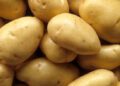 আলু খেলে কি ওজন বাড়ে?