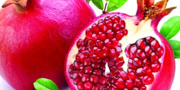বিভিন্ন রোগ প্রতিরোধে ডালিম