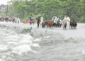 সারাদেশে বন্যাজনিত রোগে আক্রান্ত ১৮৩৬৯, মৃত্যু ১১৮