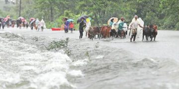 সারাদেশে বন্যাজনিত রোগে আক্রান্ত ১৮৩৬৯, মৃত্যু ১১৮
