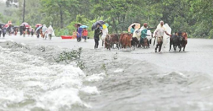 সারাদেশে বন্যাজনিত রোগে আক্রান্ত ১৮৩৬৯, মৃত্যু ১১৮