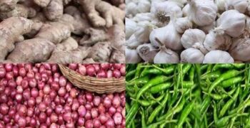 সাইনাস প্রতিরোধে খাদ্য তালিকায় পেঁয়াজ-রসুন-মরিচ