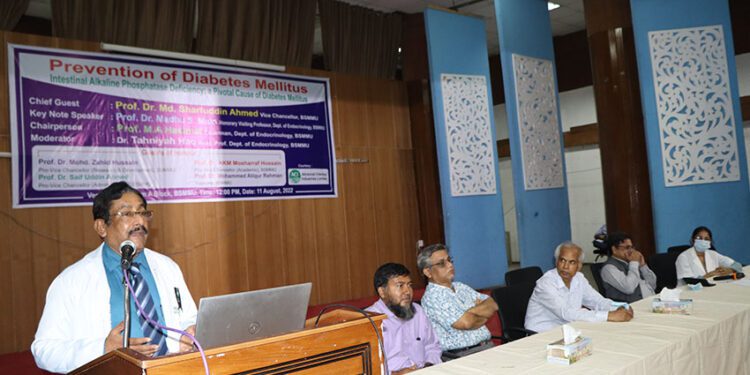 ‘ডায়াবেটিস রোধ হলে বছরে ৪টি পদ্মা সেতু নির্মাণ সম্ভব’ : বিশেষজ্ঞদের দাবি