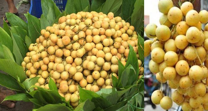 রক্তশূন্যতা দূর করতে লটকন