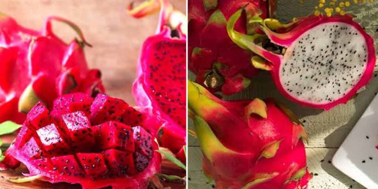 কোলন ক্যানসারের ঝুঁকি কমাতে সহায়ক ড্রাগন ফল