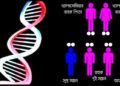 থ্যালাসেমিয়া প্রতিরোধ: প্রয়োজন সঠিক কর্মসূচি