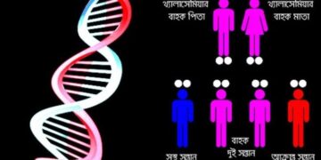 থ্যালাসেমিয়া প্রতিরোধ: প্রয়োজন সঠিক কর্মসূচি
