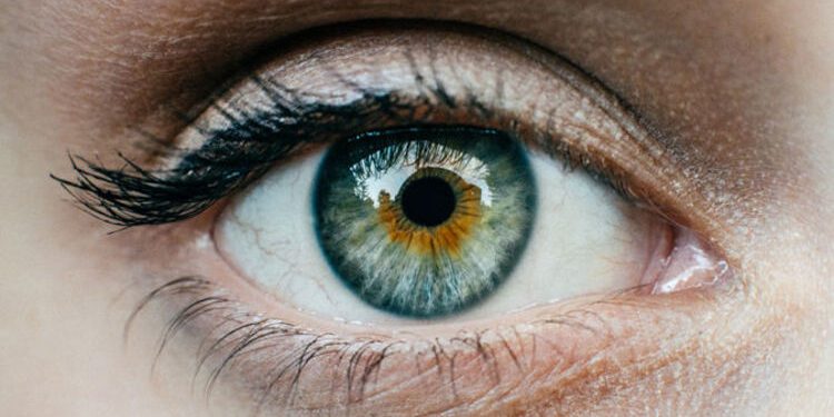 মিনিটেই চোখ দেখে হৃদরোগের ঝুঁকি কতোটুকু বলে দেবে ‘এআই’