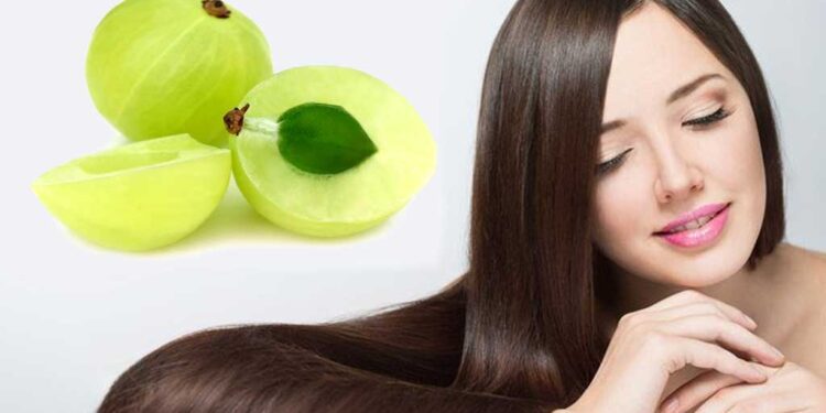ঘন চুল পেতে বেছে নিন আমলকী
