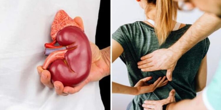 কিডনি রোগীদের জন্য মারাত্মক বিপদের কারণ হতে পারে হলুদ