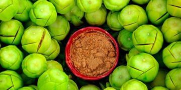 ঠাণ্ডা-কাশির সমস্যায় ,হৃদরোগে উপকারী আমড়া