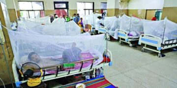 ডেঙ্গুতে ২৪ ঘন্টায় আরো ২৪ জনের মৃত্যু