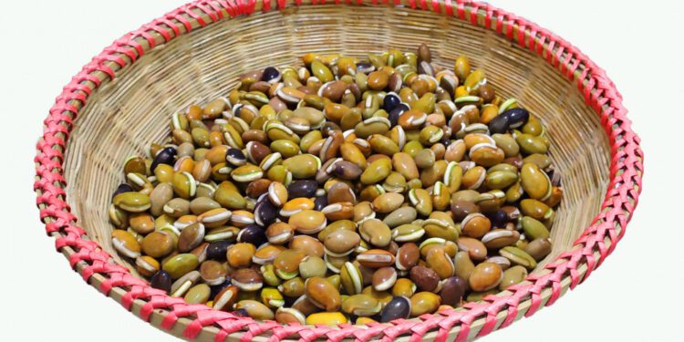 জেনে নিন শিমের বিচির পুষ্টিগুণ