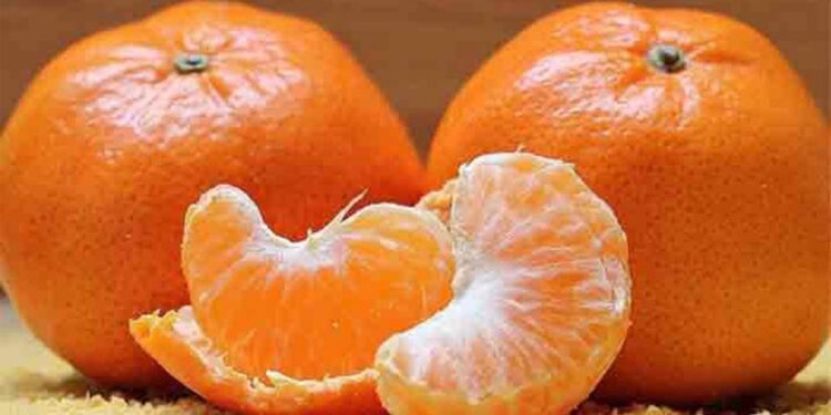 ডায়াবেটিস রোগীরা কি কমলা খেতে পারবেন ?