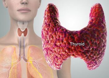 থাইরয়েড হরমোন ও হৃদরোগ