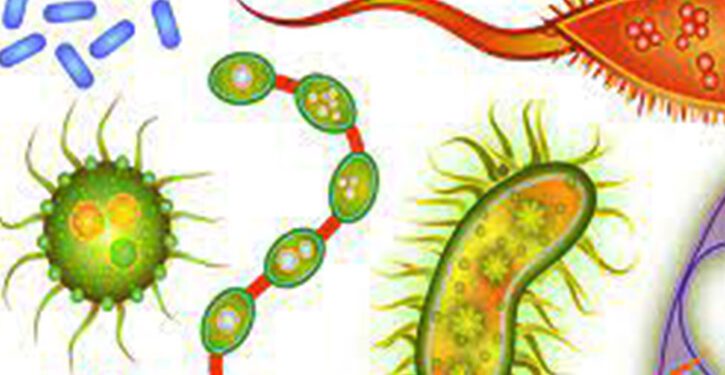 জলবায়ুর প্রভাবে বদলে যাচ্ছে রোগ-জীবাণুর ধরন