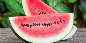 হার্ট সুস্থ রাখা,ডায়াবেটিস নিয়ন্ত্রণসহ নানা উপকারে তরমুজের বিচি
