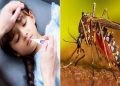 ডেঙ্গুতে একদিনে দুই জনের মৃত্যু, হাসপাতালে ভর্তি ২২০