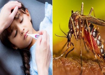 ডেঙ্গুতে একদিনে দুই জনের মৃত্যু, হাসপাতালে ভর্তি ২২০